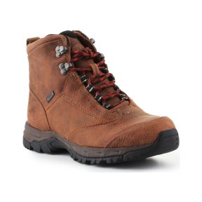 Πεζοπορίας Ariat Berwick Lace Gtx Insulated 10016229